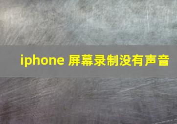 iphone 屏幕录制没有声音